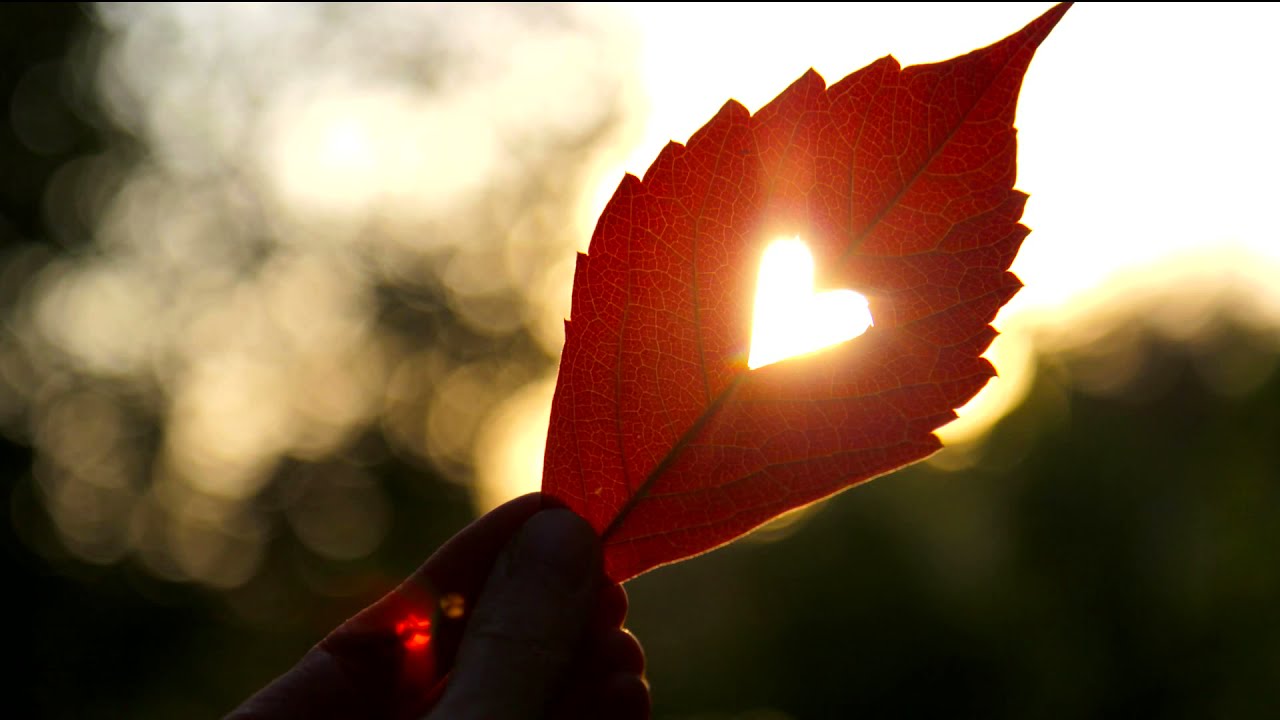 Coherencia del corazón. Meditación desarrollada por el Instituto Heart Math.
