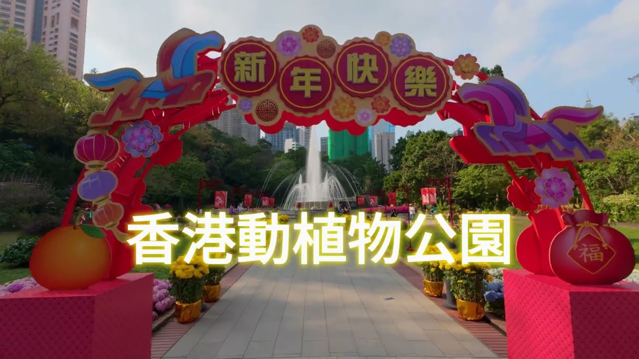 香港公園 香港動植物公園 尋吊鐘花 pov 4K