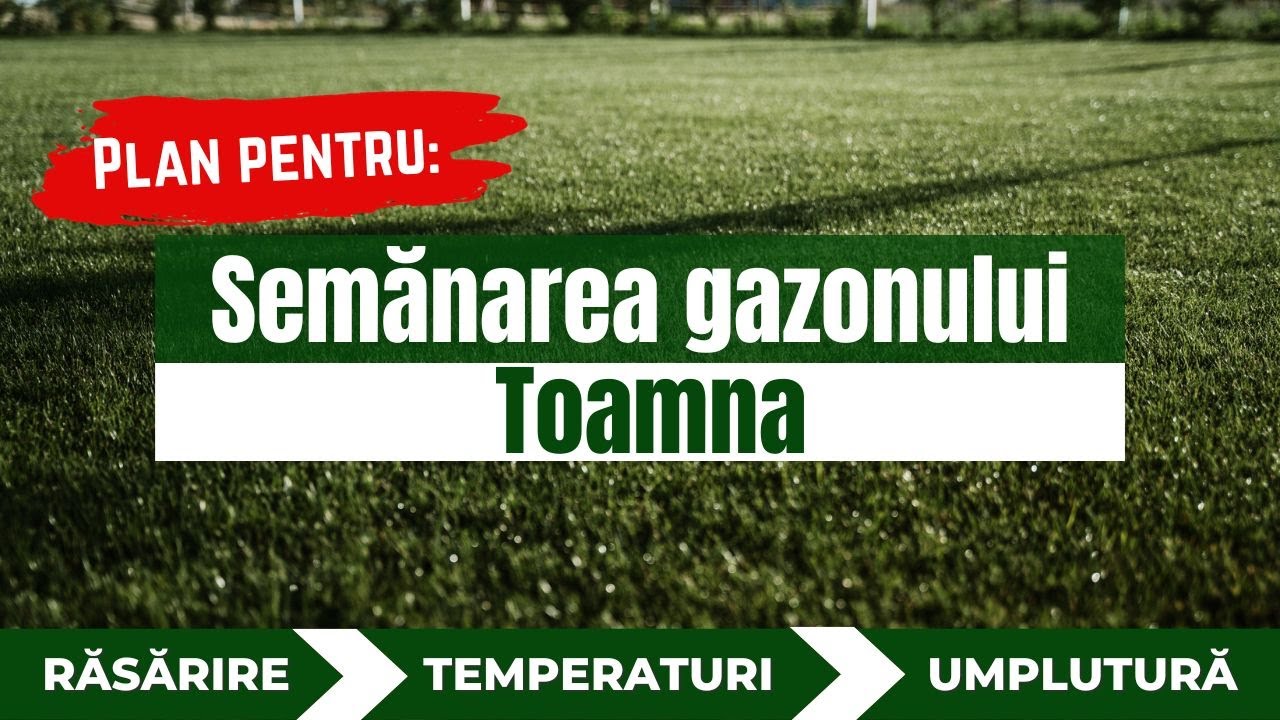 Semănare gazon toamna.P&acirc;nă c&acirc;nd poți semăna gazon?&Icirc;n c&acirc;t timp răsare gazonul toamna? semintegazon.ro