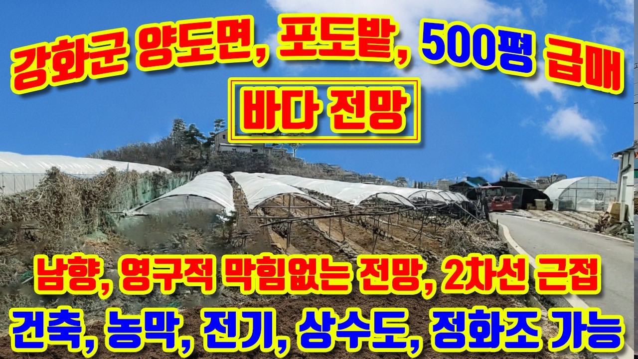 강화군 양도면 능내리,남향 포도밭 500평 매매, 내리 바다전망, 포도나무 수백그루, 2차선 버스국도 40m 거리,아스팔트국도 길게 접함,전기,상수도,정화조 가능,#강화도토지매매