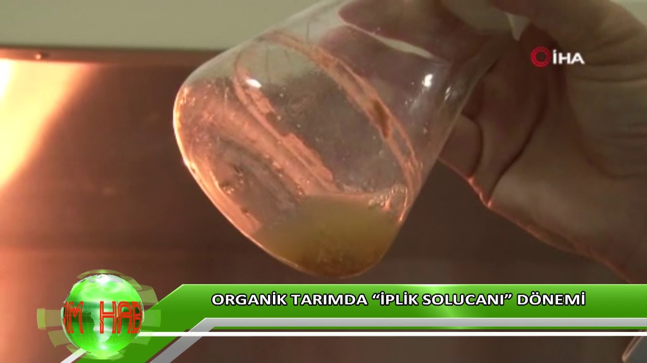 Organik tarımda “iplik solucanı” dönemi