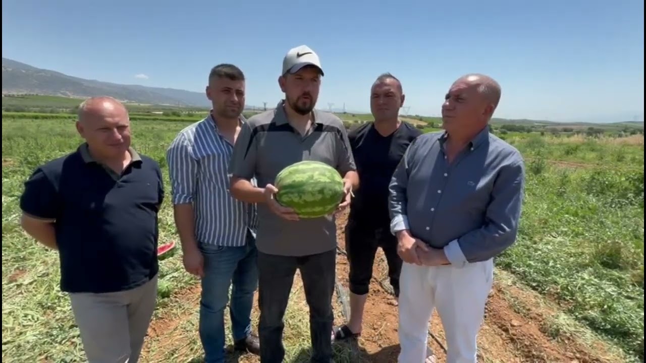 Türkiye'deki Karpuz Üretimi: Manisa Bölgesi İddialı