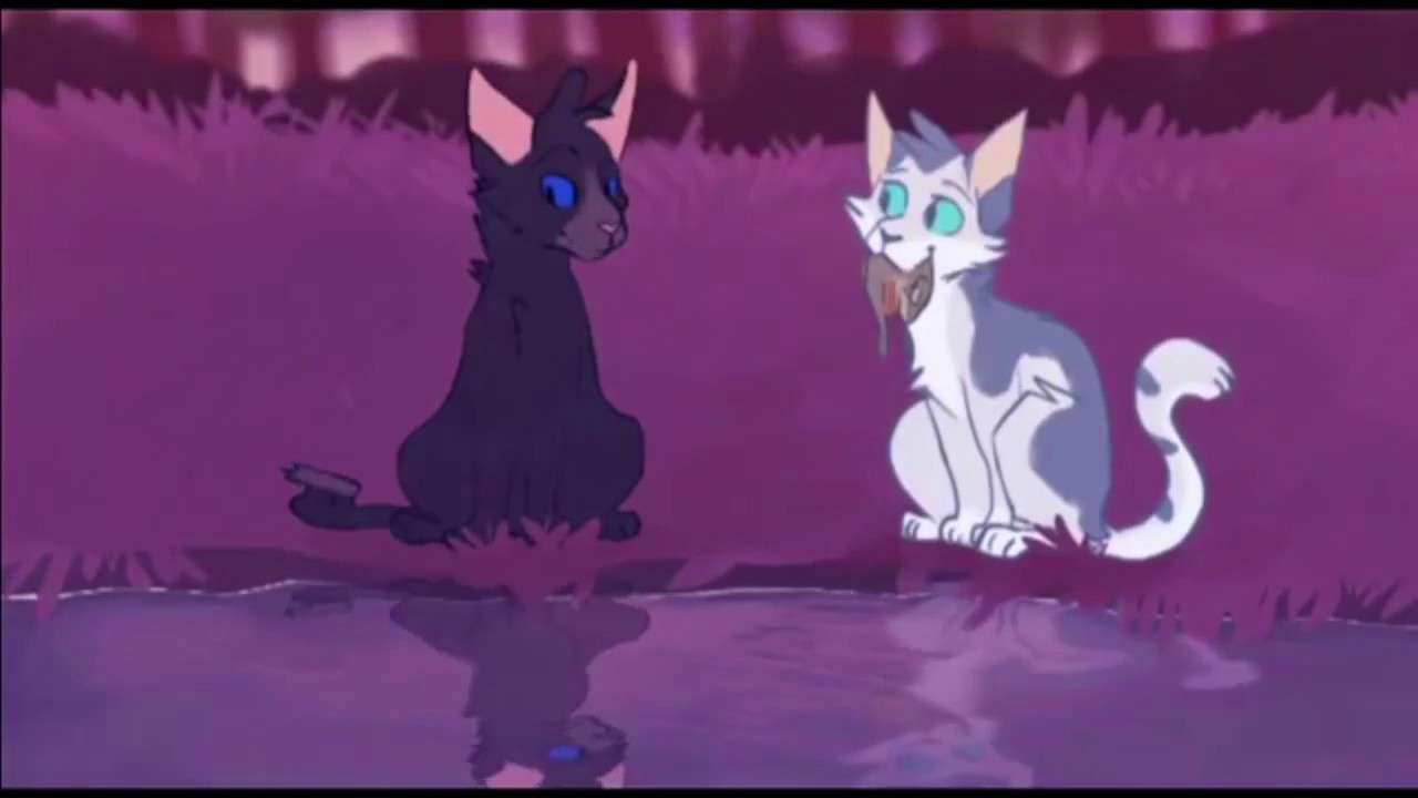 Коты Воители - Грач и Ласточка.(Crowpaw and Featherpaw)