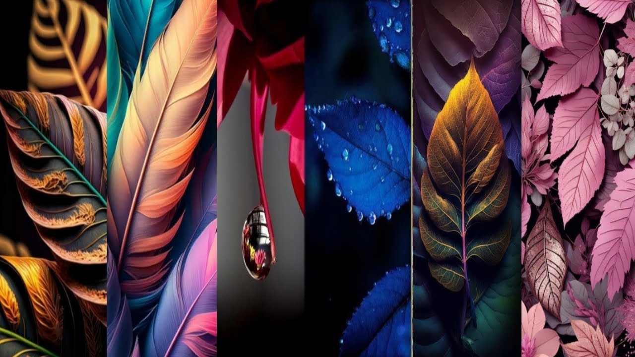 COLOURFUL LEAVES 8K/4K IMAGES | LATEST LEAVES MOBILE WALLPAPER COLOURFUL | BLACK BACKGROUND IMAGES
