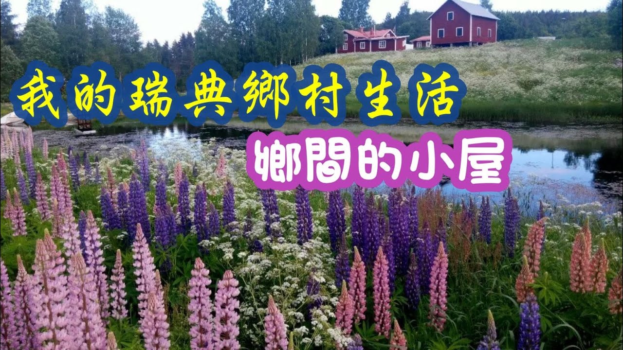 【我的瑞典鄉村生活●鄉間小屋🏡】My life in a village of Sweden, Episode 1 (English Subtitles)