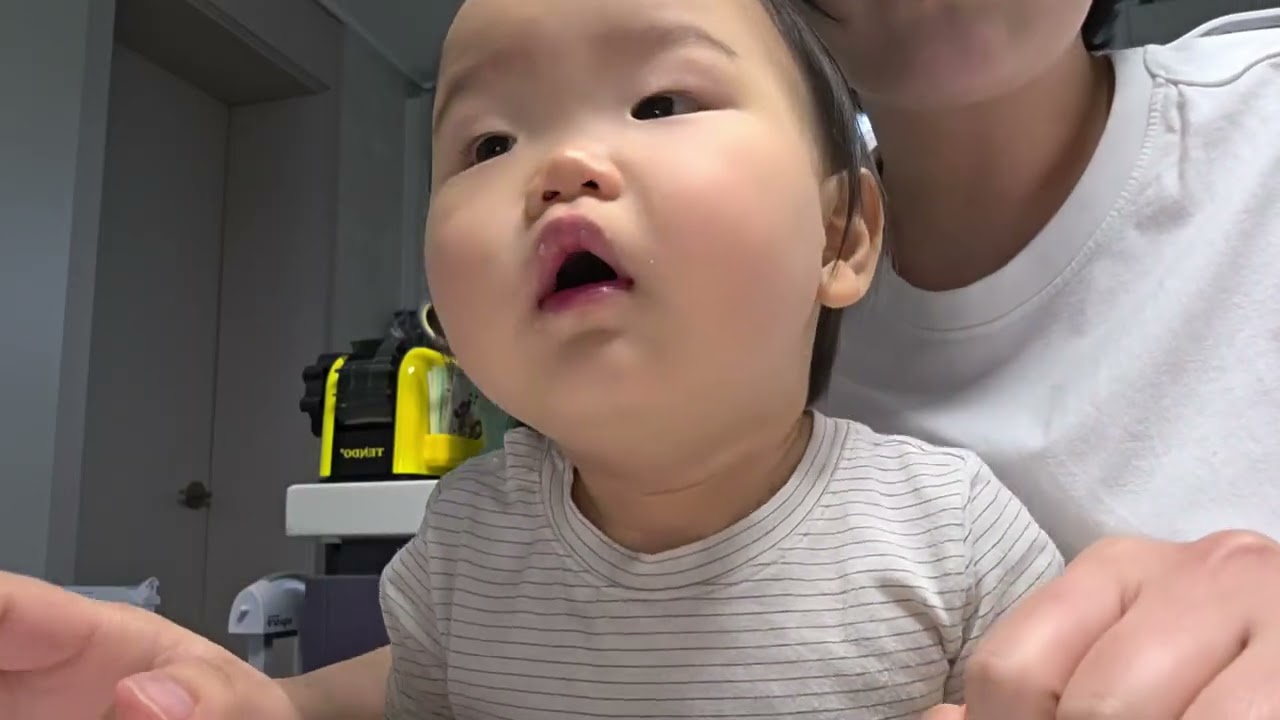 [꼬마쿰]477일 꼬(구)마쿰260211