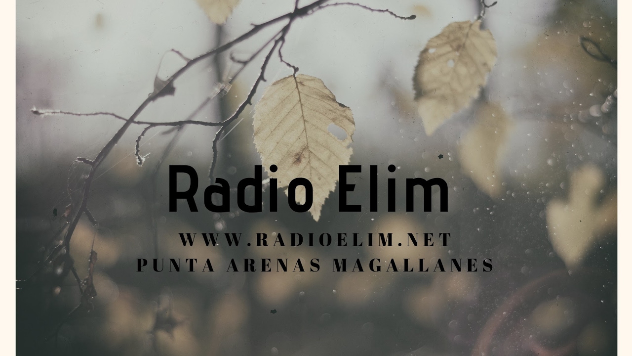 MUSICA EN VIVO POR RADIO ELIM