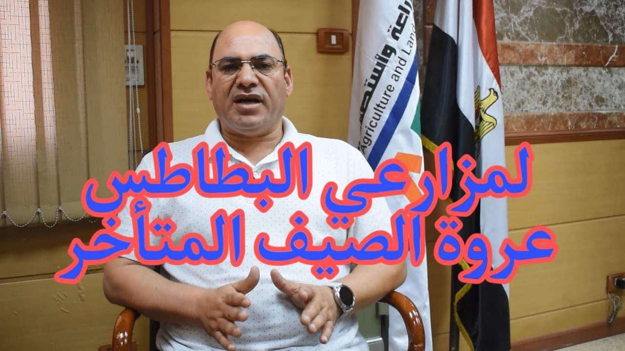 لمزارعي البطاطس.. هام جداً لضمان الإنتاجية والأرباح العالية