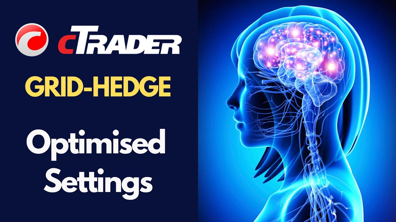 cTrader Grid-Hedge System Optimisation