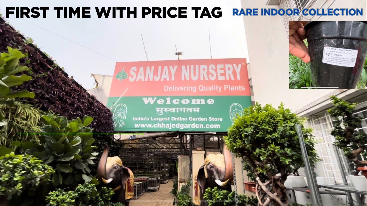 Sanjay Nursery Tour Part 2 | Rarest Collection Of Indoor Plants