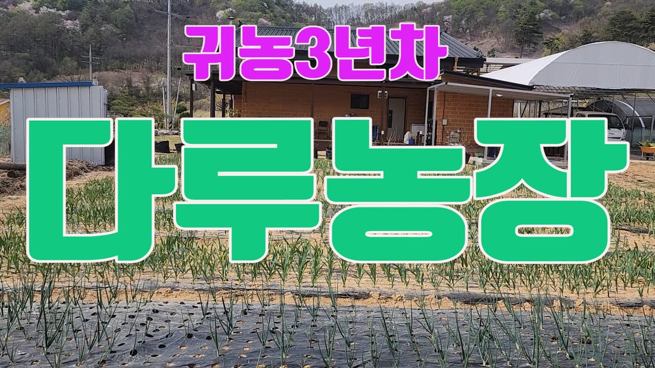 166  다루농장 귀농3년차