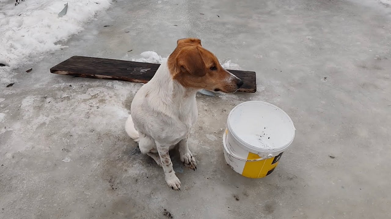 Що відбувається з рівнем води взимку у штучній водоймі?