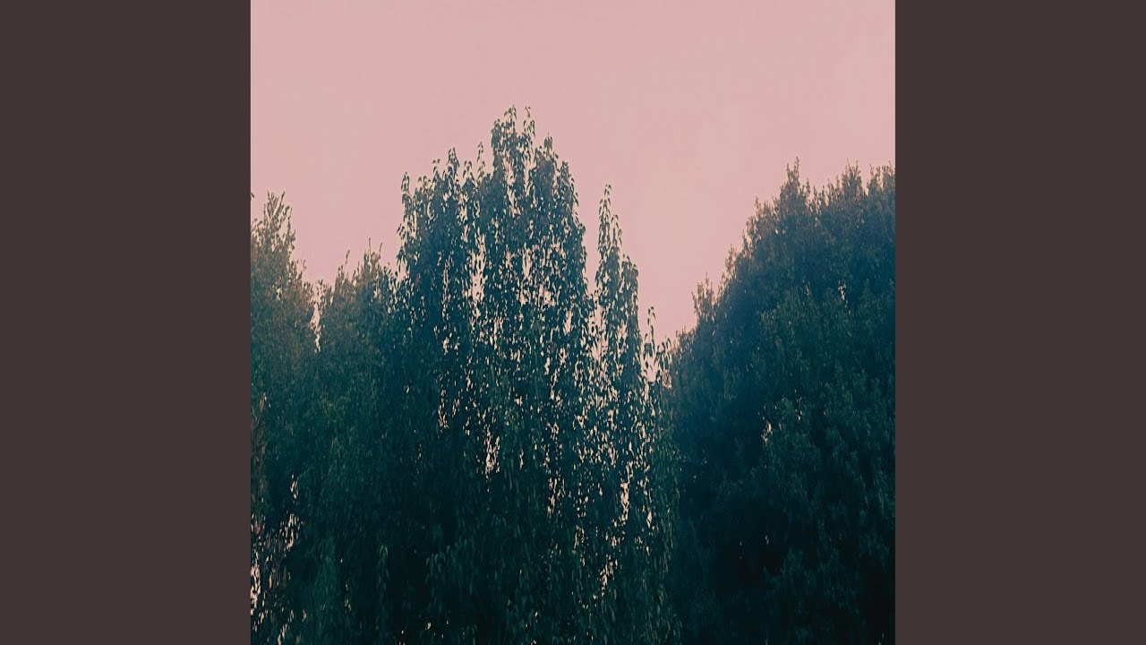 Can't you see