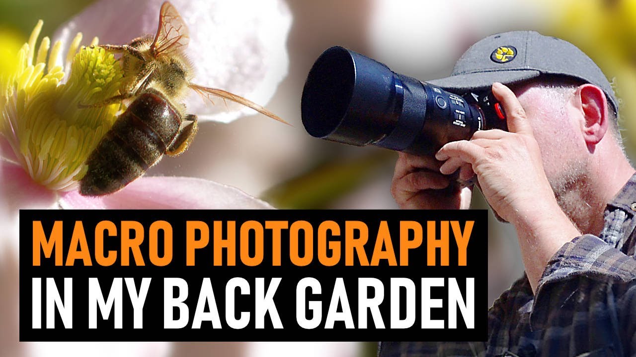 Photographing BEES, JUMPING SPIDERS & More | Macro Photography Vlog