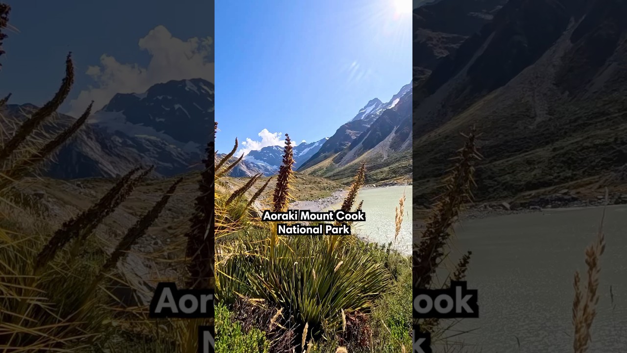 beautiful hikes in Aoraki Mount Cook NP 🇳🇿🥾 #mountcook #newzealand #newzealandhikes #travel