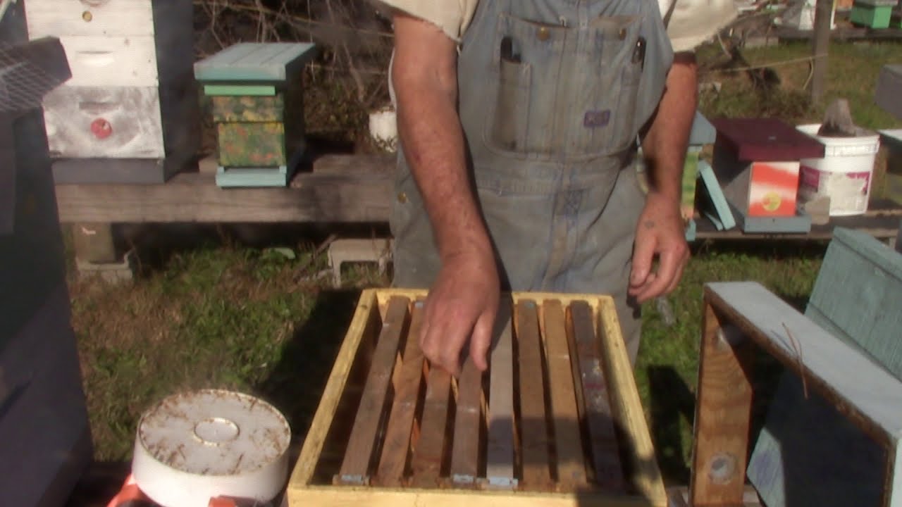 12-11-12 Show how I get started with feeding dry sugar on hives.