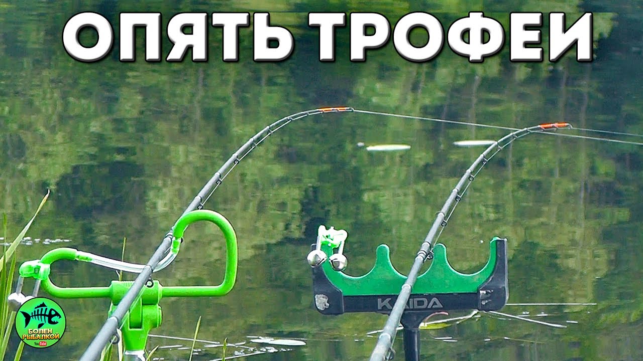 ОПЯТЬ СЛАБОНЕРВНЫМ НЕ СМОТРЕТЬ🐟🐟🐟. РЫБАЛКА С НОЧЕВКОЙ. Рыбалка на фидер