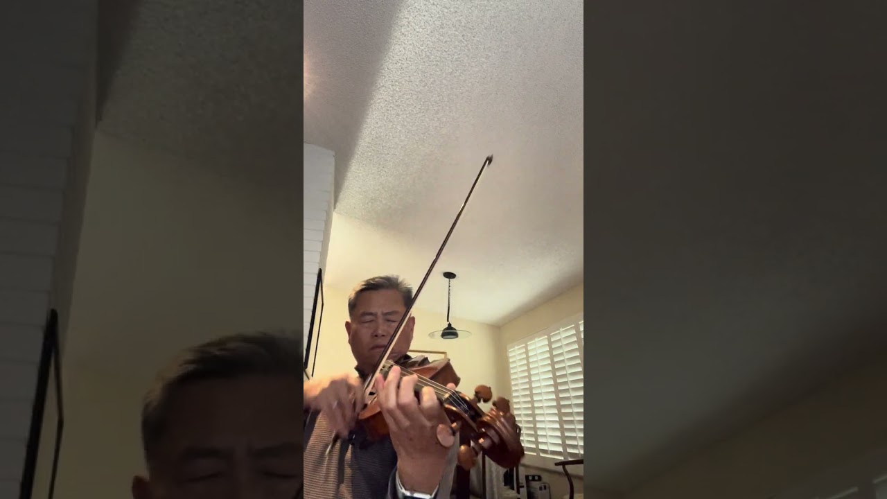 The Viola solo from Alberto Ginastera Variaciones concertantes,