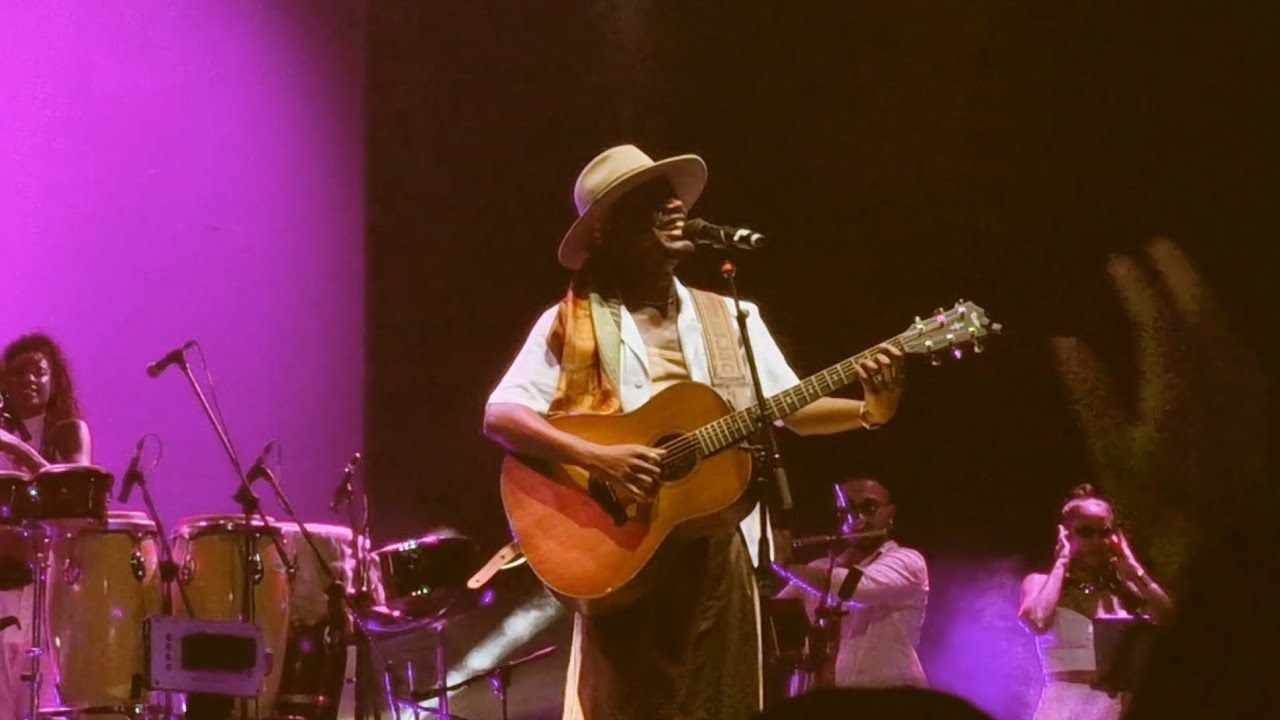Beija Flor | Jota.pê 