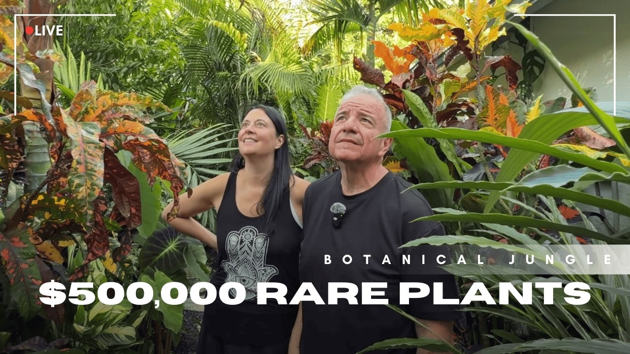Exclusive Access Inside Florida's Most Exotic Private Jungle Garden