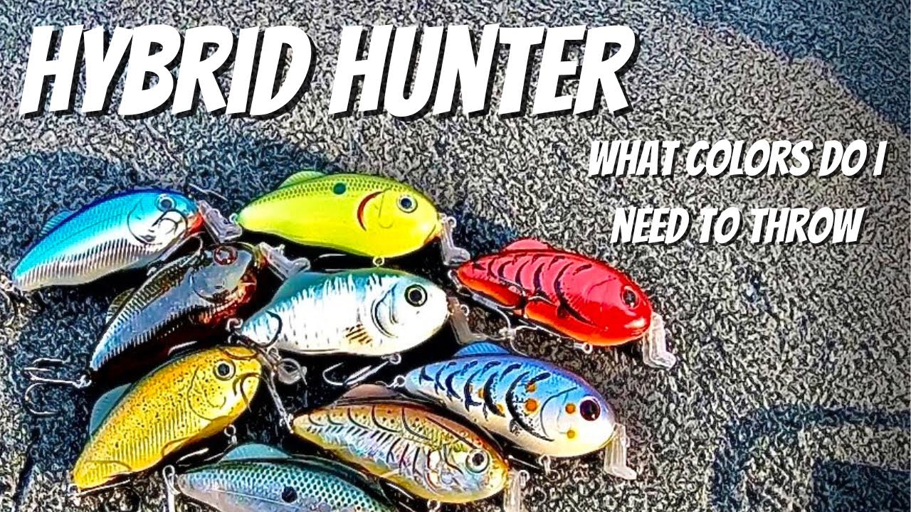 Hybrid Hunter — Какие цвета мне следует использовать?
