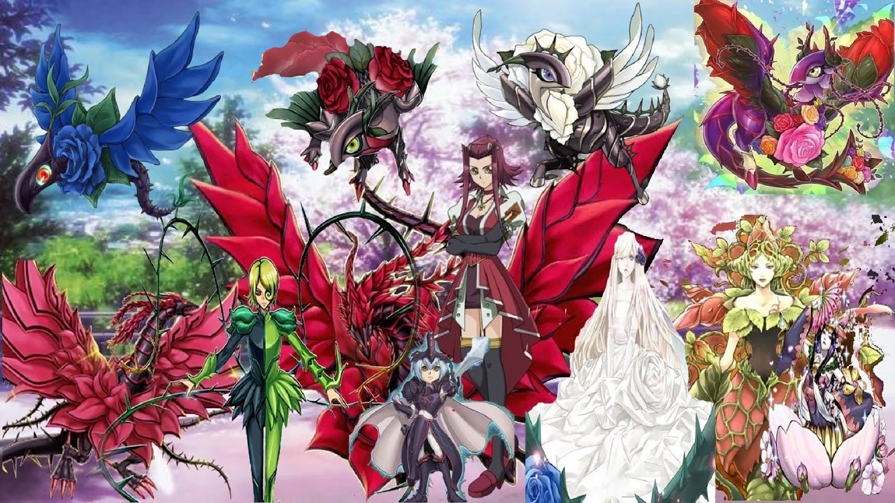 YuGiOh! LOTD Link Evolution - Akiza And Rose Gameplay