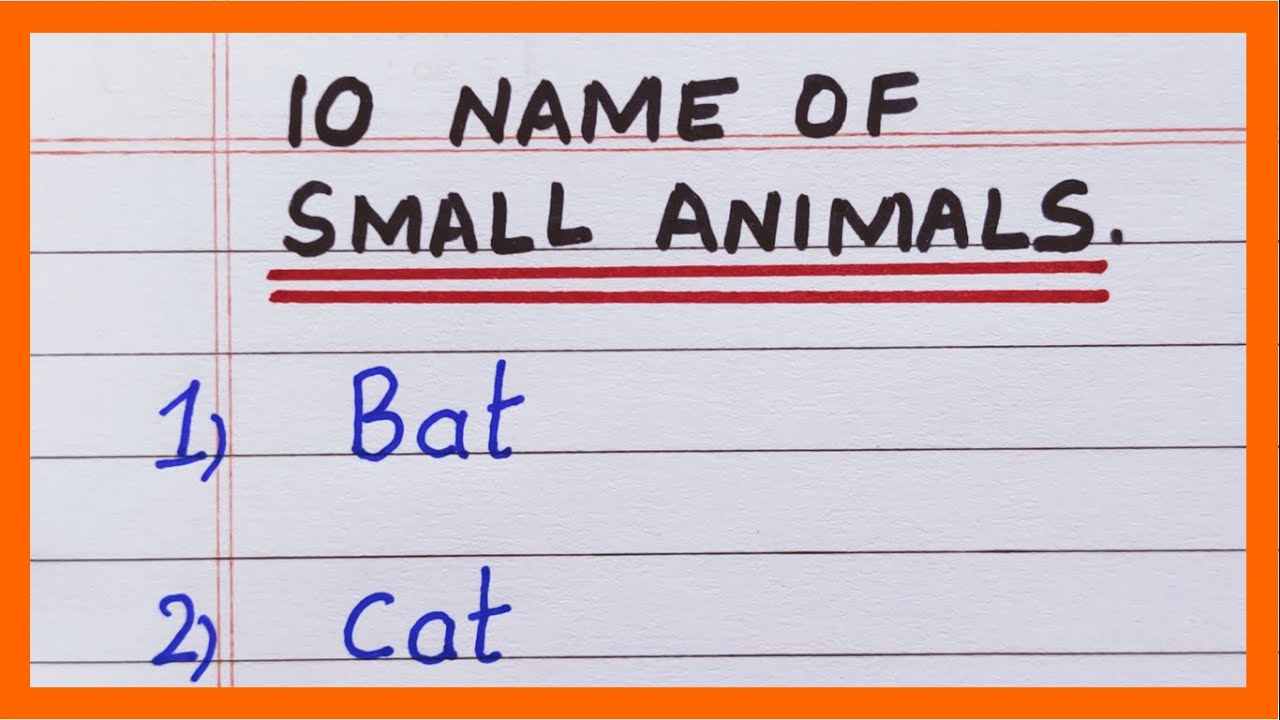 Small Animals Names in English | 10 Names of Small Animals | List of Small Animals in English