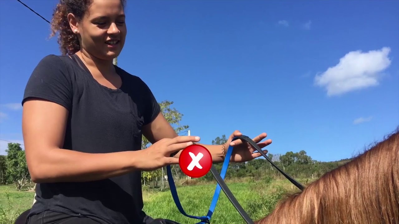 Débuter à cheval : Joanne vous donne quelques conseils