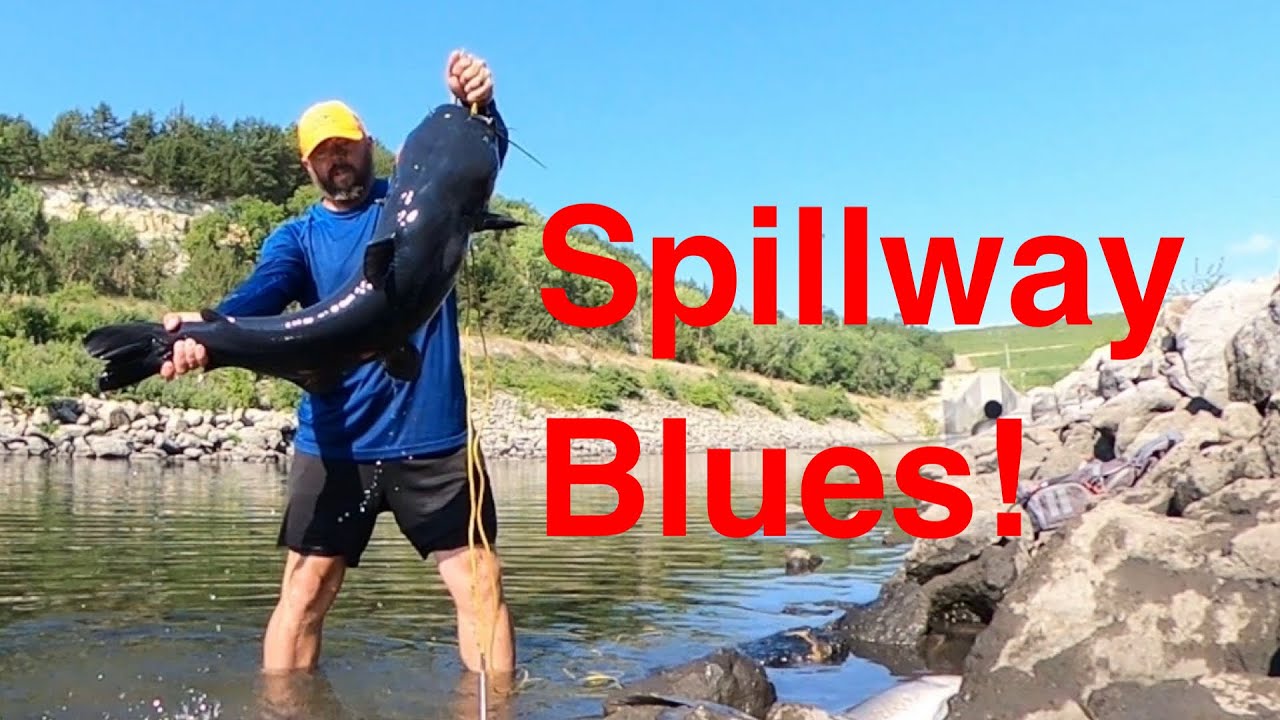 Big blues at Milford spillway!