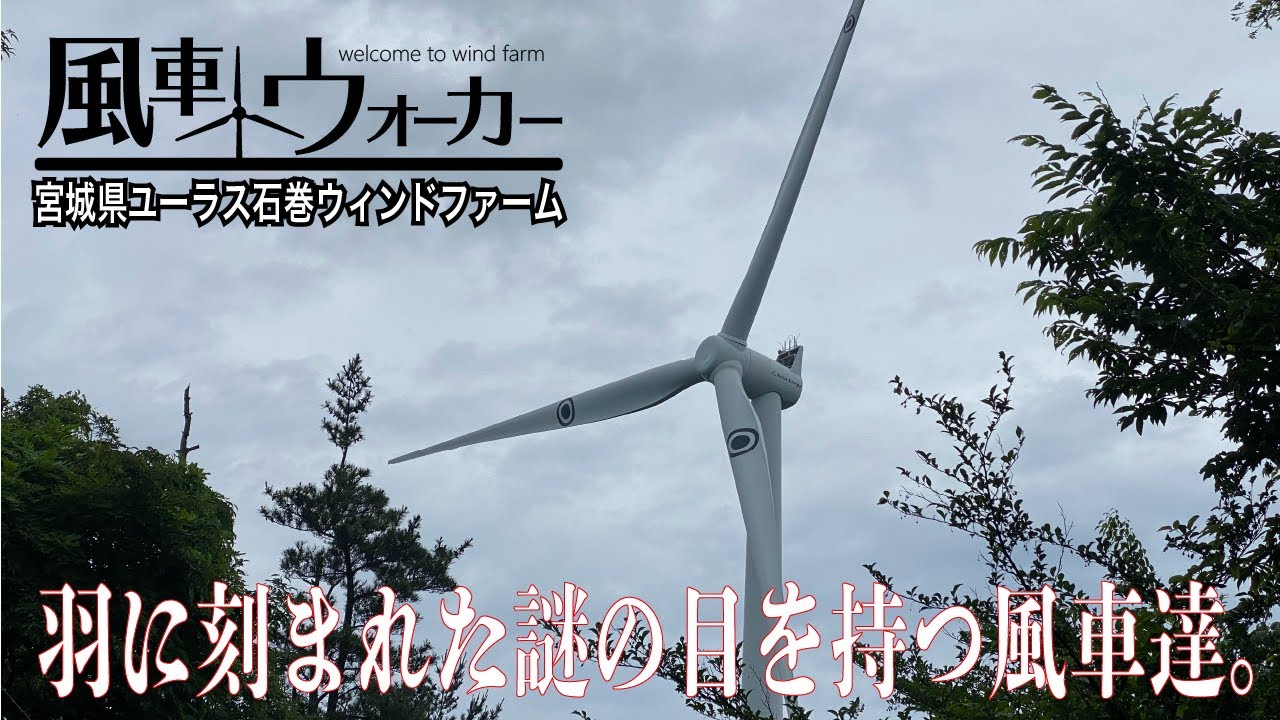 羽にこんな模様のある風車は他では見たことありません。【風車ウォーカー宮城編#2】