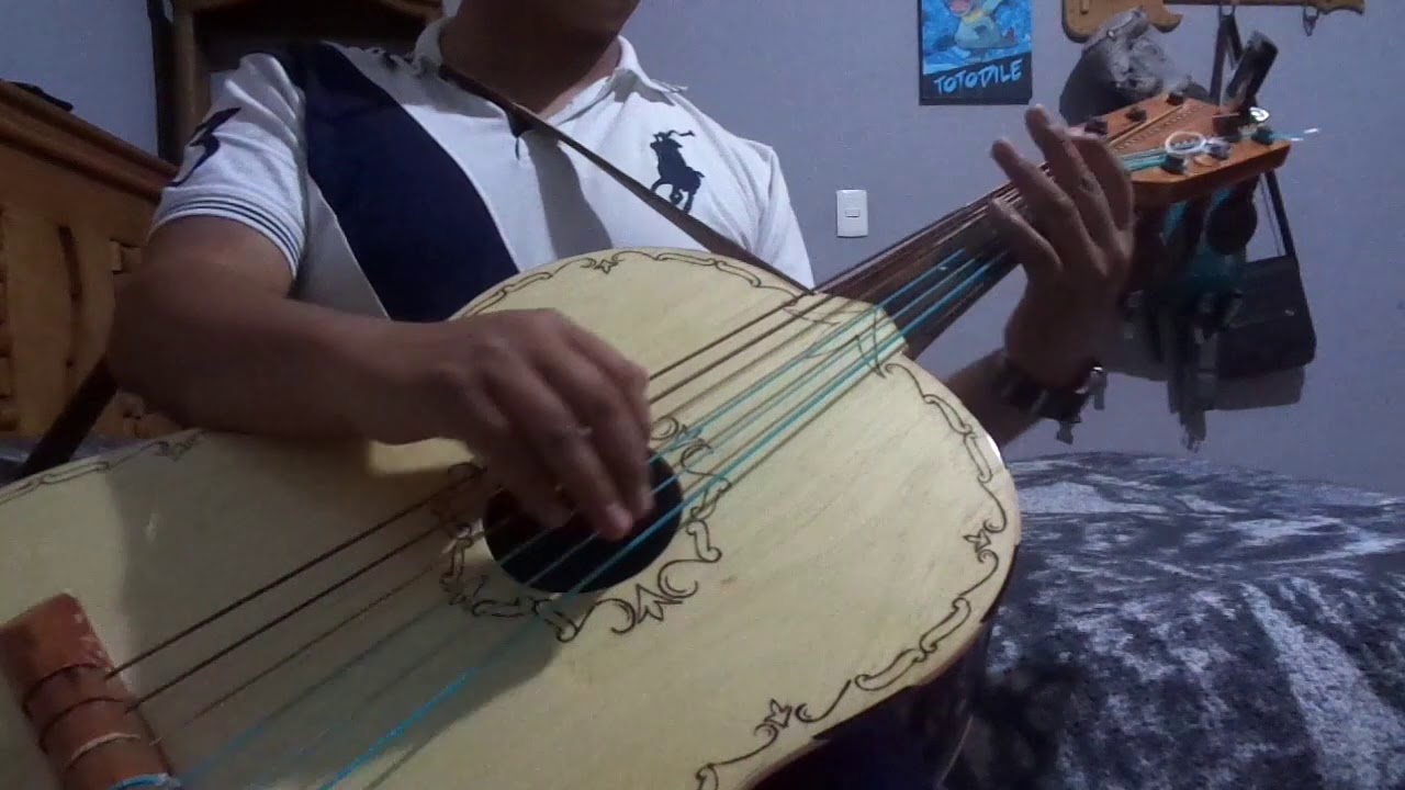Guitarron 