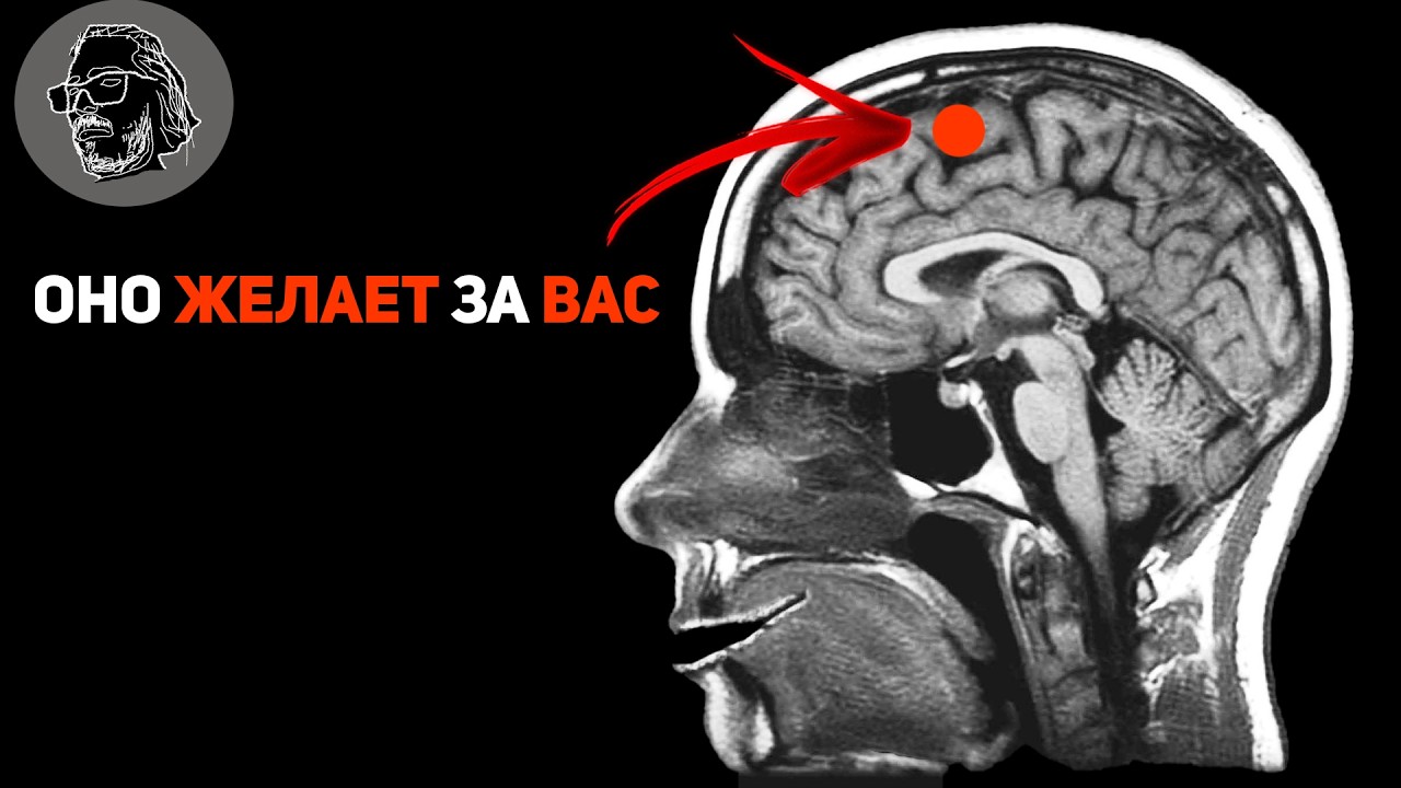 Мрачная ТАЙНА наших ЖЕЛАНИЙ