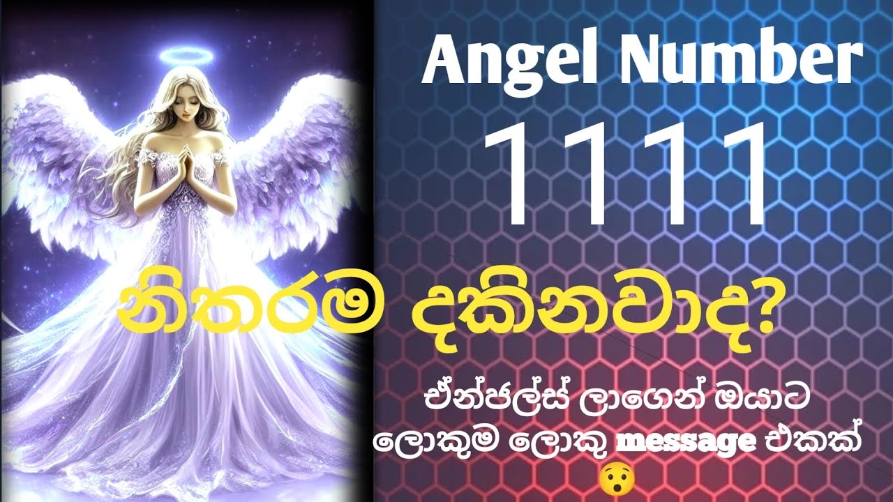 Angel Number 1111 Meaning | What the Universe Is Trying to Tell You 🤍✨✨