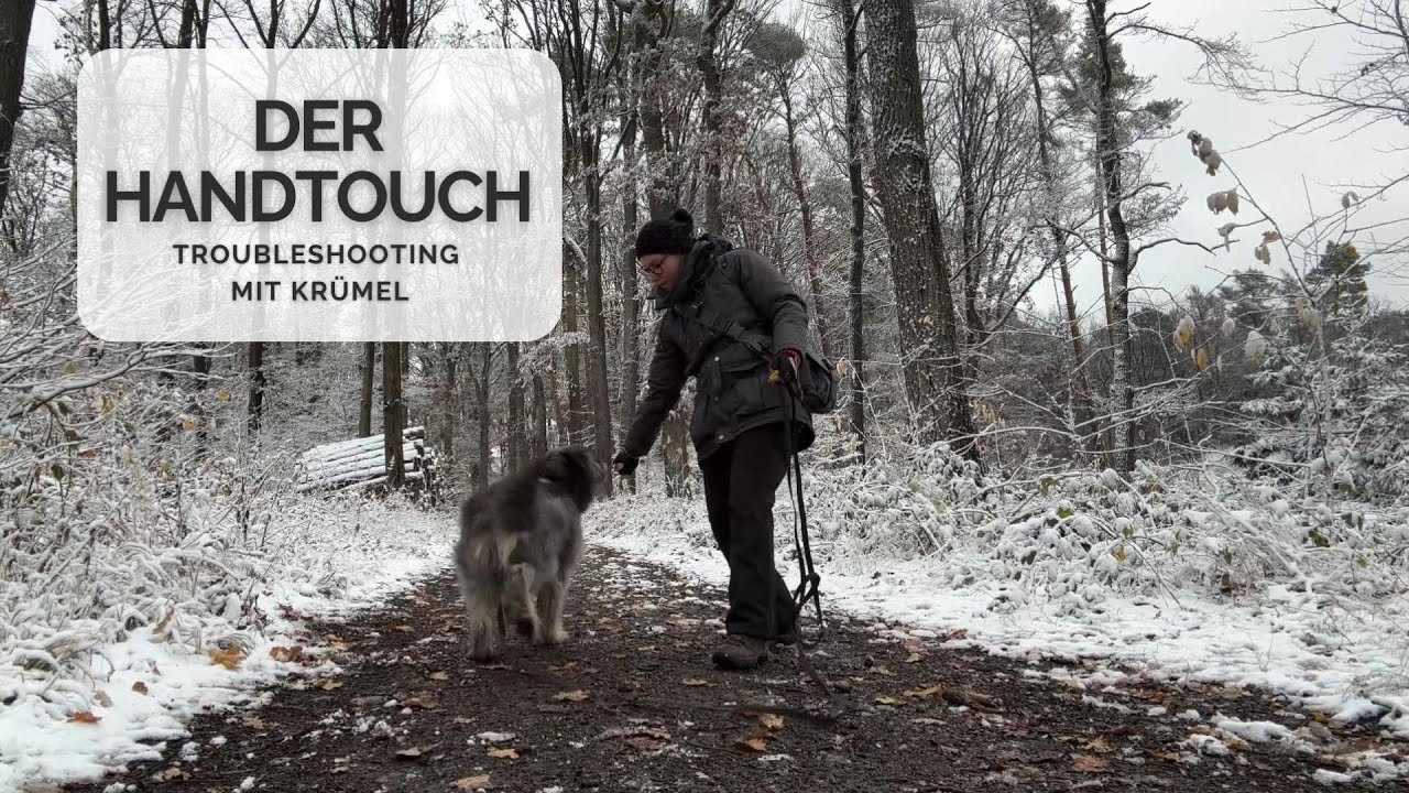 Der Handtouch - 