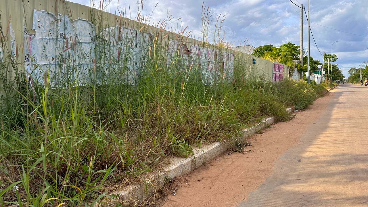 Cleaning up overgrown sidewalk For Beautifully Revived Sidewalks