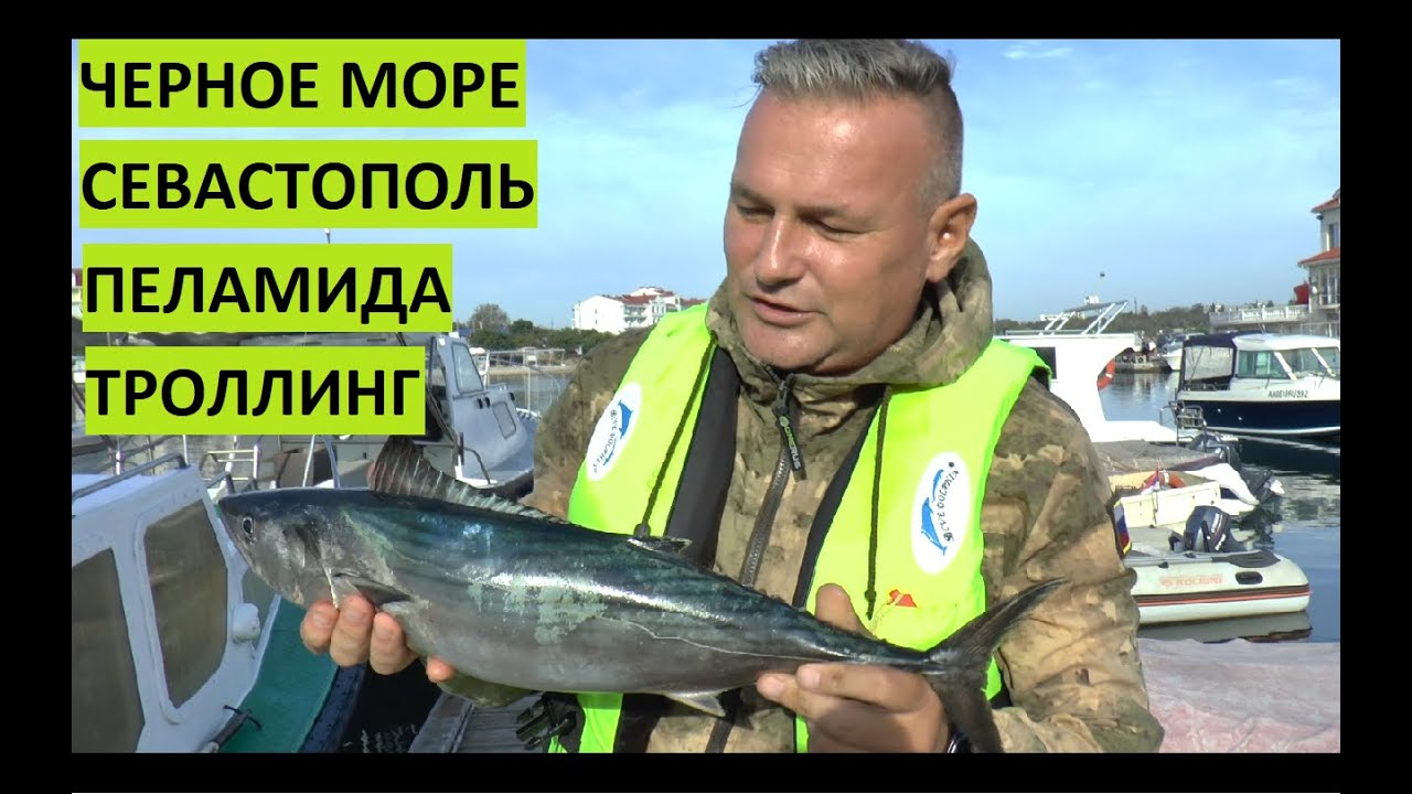 Рыбалка в Черном море. Пеламида. Троллинг. Севастополь