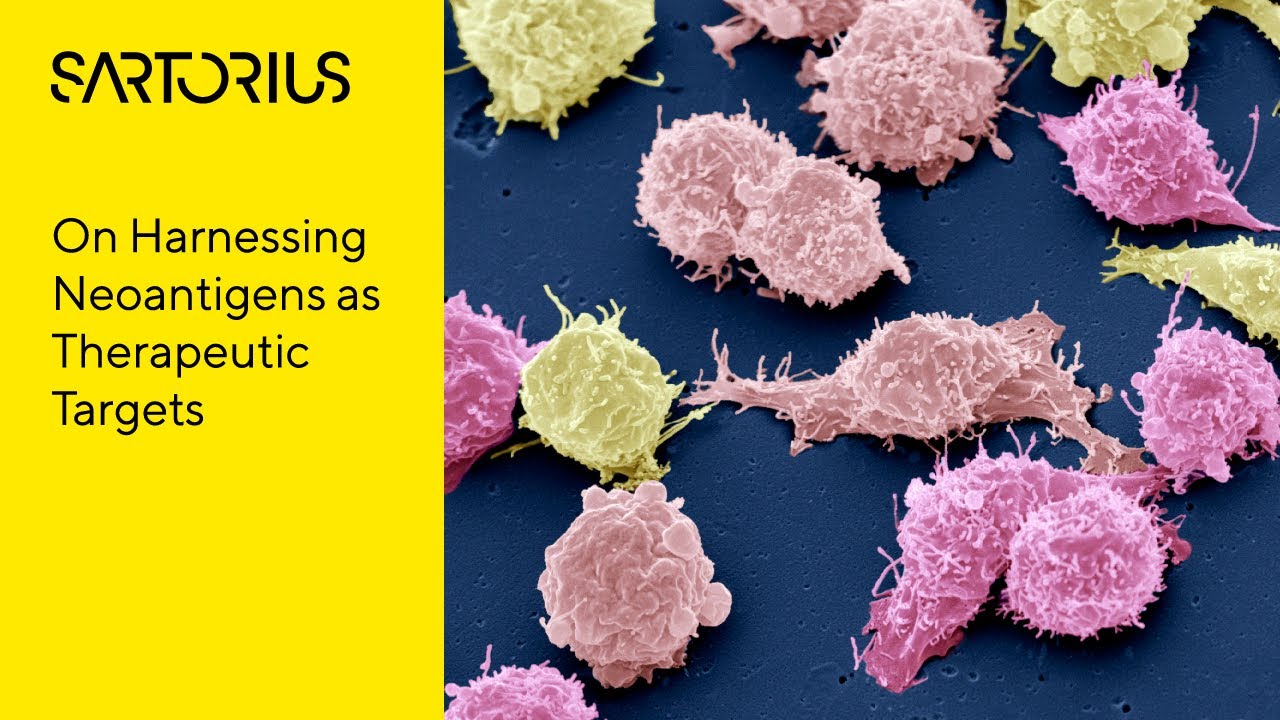 Harnessing Neoantigens for Individualized Cancer Immunotherapy