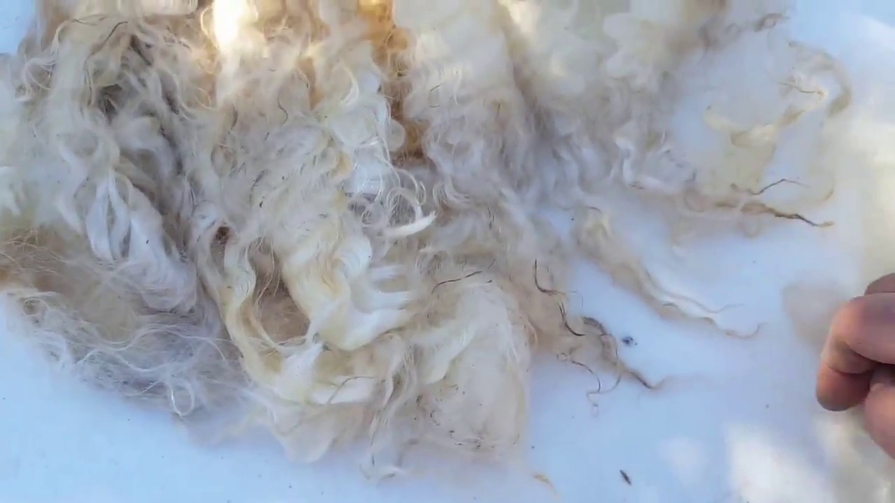 Properties and Uses of Lincoln Wool