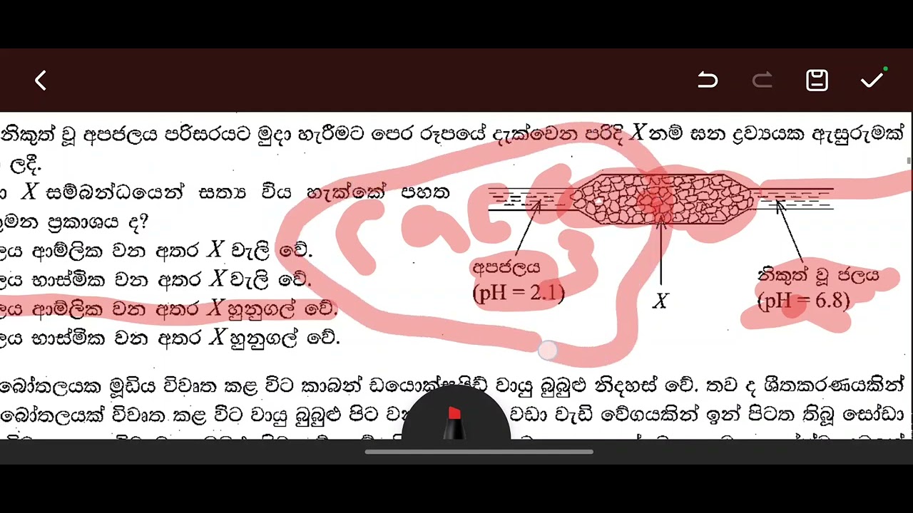 2024 chemistry mcq