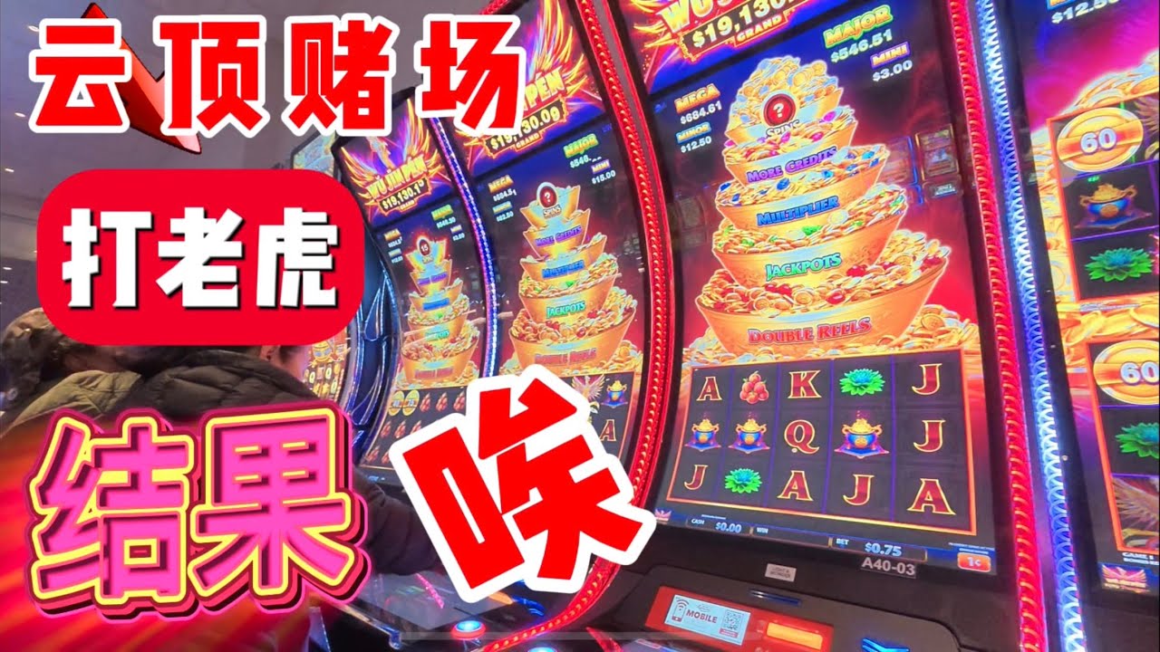 云顶赌场，打老虎🔥暴冷天气🔥人流稀疏，结果，唉😅 2025年11月11日