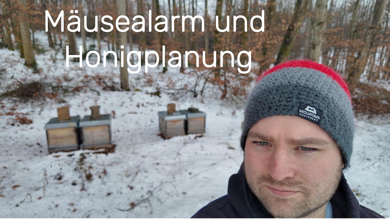 Vlog 06 - Mäusealarm und Honigplanung