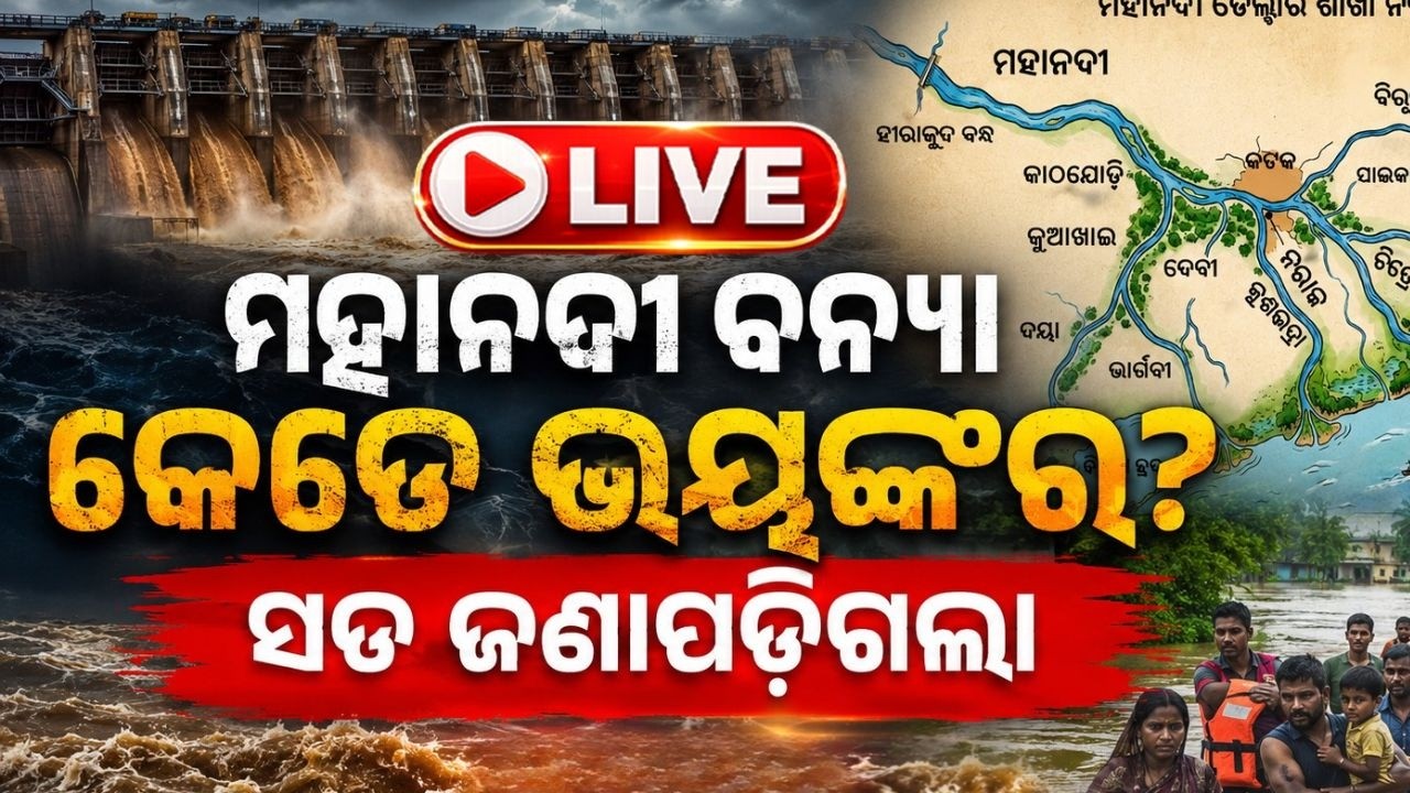🔴 ମହାନଦୀରେ ମାଡ଼ିଆସୁଛି ବନ୍ୟା.. Big Breaking | Mahanadi Flood | Flood Odisha | Flood News Today