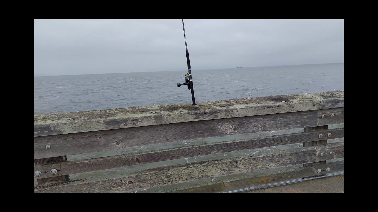 2026 EP.5 - How to Catch Striped Bass with Frozen Jacksmelt! Pier Fishing! FAIL!