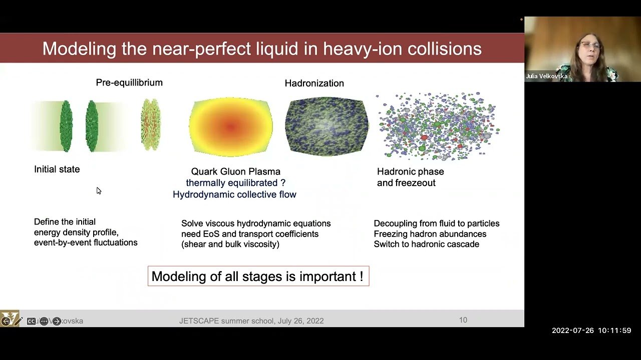 Physics Lectures - Overview of collective phenomena in heavy-ion collisions - Julia Velkovska