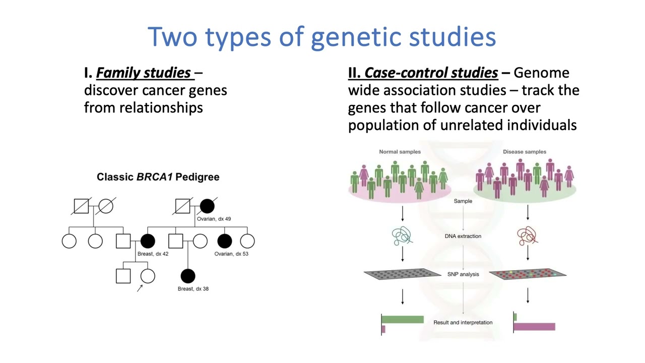 Germline Genetics and Childhood Cancer
