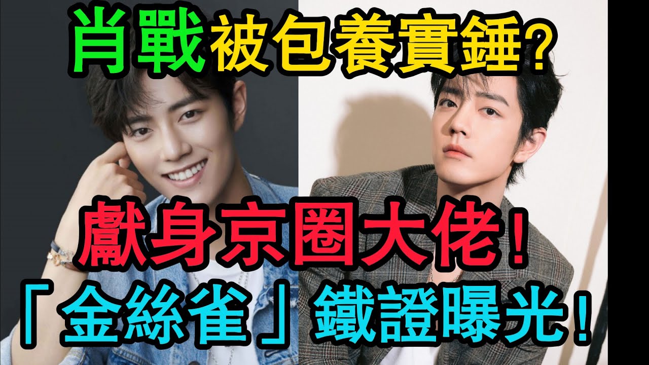 肖戰包養石錘！獻身京圈大佬“鐵證”全曝光？9年純情人設一夜崩塌，他竟是資本“金絲雀”！#肖戰