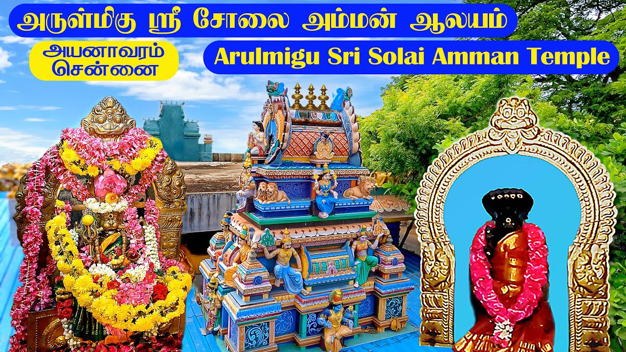 சோலை அம்மன் ஆலயம் அயனாவரம் சென்னை Solai Amman kovil #ayanavaram   #sunrise fotos #trendingvideo