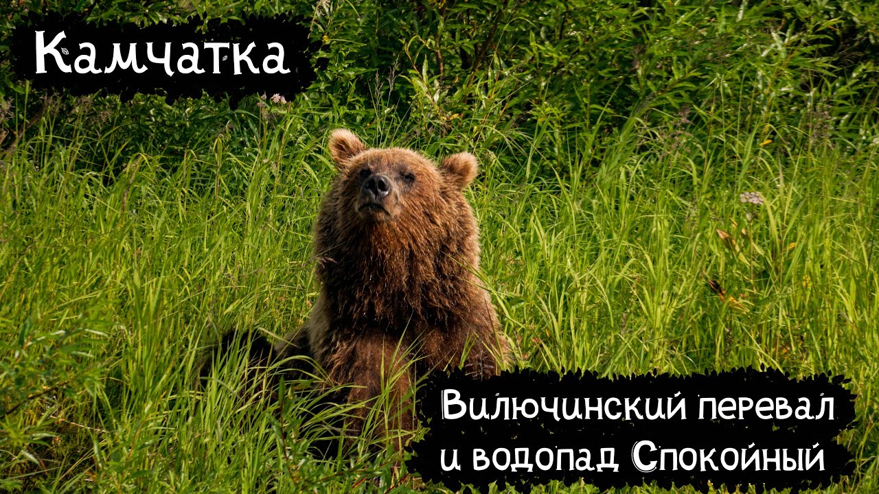 Камчатка | Вилючинский перевал,  водопад Спокойный