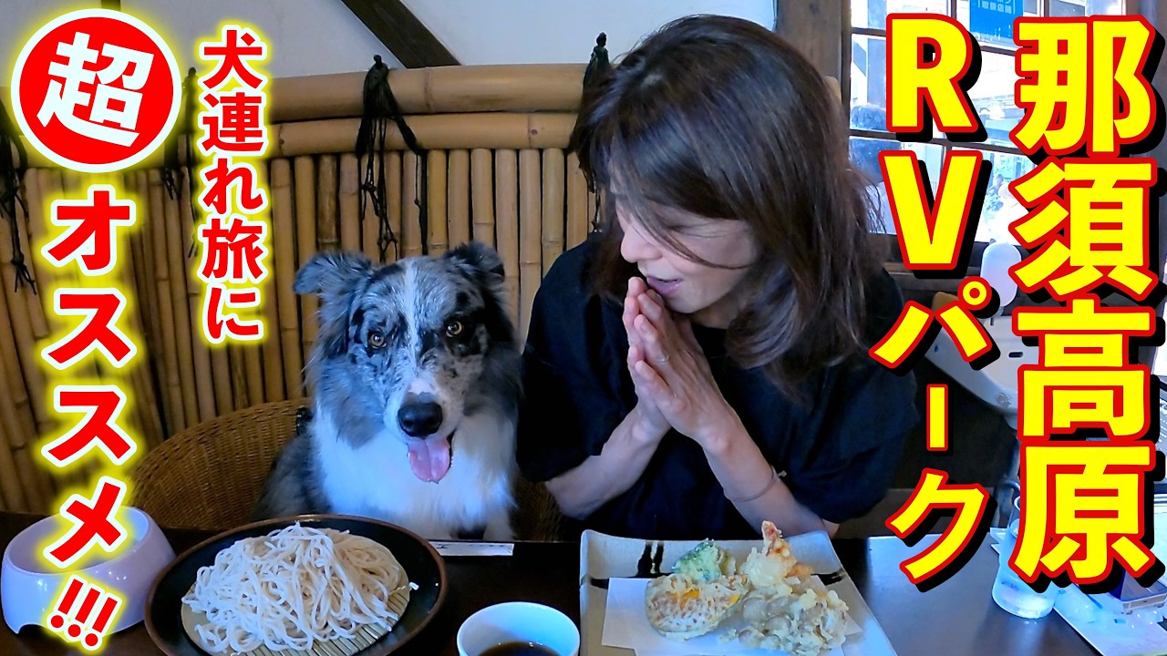 [犬と車中泊] 1泊2000円電源込み！しかも超絶景！高級ホテルの温泉入り放題もある！3泊4日北関東キャンピングカー犬連れ車中泊旅  / RVパークホテルフロラシオン那須