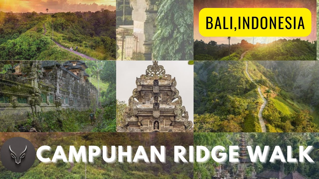 Campuhan Ridge Walk | Do you Know this ? | Check This | Bali - Indonesia